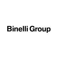 binelli group logo image