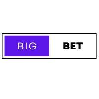 bigbet ventures logo image