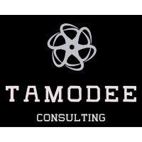 tamodee consulting logo image