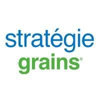 stratégie grains logo image