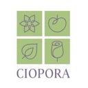 logo of Ciopora