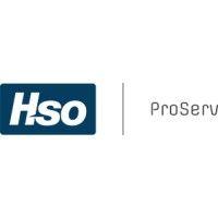 hso professional services logo image