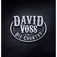 david voss & big country logo image