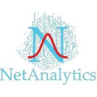 netanalytics llc