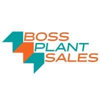 boss plant sales ltd logo image