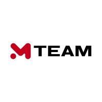 mteam shared service center at grafit holding logo image