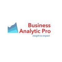 business analytic pro logo image