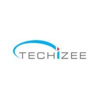 techizee logo image