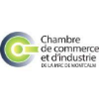 chambre de commerce et d'industrie de la mrc de montcalm logo image