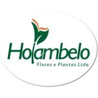 holambelo flores e plantas logo image