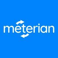 meterian logo image