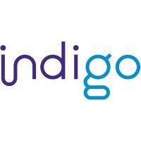 indigo logo image