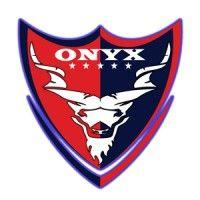 onyx security logo image