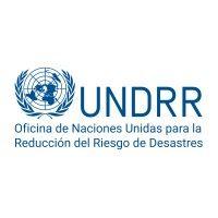 undrr las américas y el caribe logo image