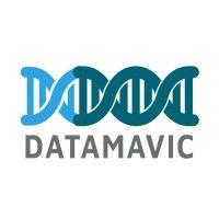 datamavic logo image