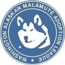 logo of Washington Alaskan Malamute Adoption League