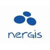 nergis consulting logo image