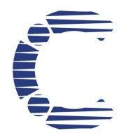 international institute of communications (iic) logo image