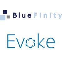 bluefinity international