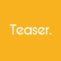 the teaser company logo image