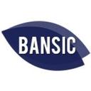 logo of Banyule Support Information Centre