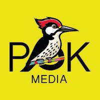 pokmedia logo image