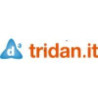 tridan it logo image