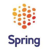 spring global delivery solutions uk logo image