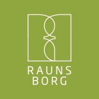 raunsborg aps logo image