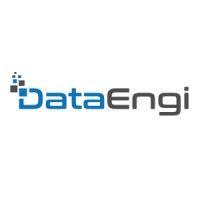 dataengi logo image