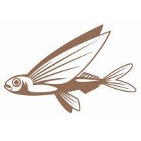 flying fish gmbh logo image