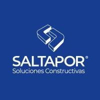 saltapor srl logo image