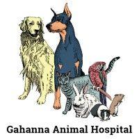 gahanna animal hospital logo image