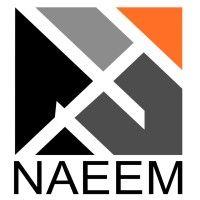 naeem holding for investment logo image