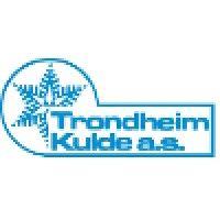 trondheim kulde as logo image