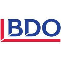 bdo cyber security gmbh logo image