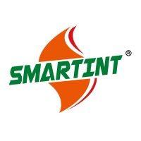 smartint, inc. logo image