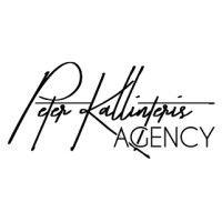 peter kallinteris agency (pka) logo image