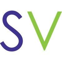 skyview ventures logo image