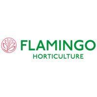 flamingo horticulture