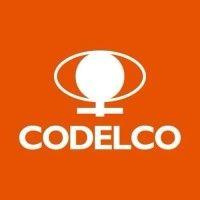 codelco – corporación nacional del cobre de chile logo image