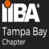 iiba tampa bay chapter in florida usa logo image