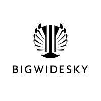 bigwidesky logo image