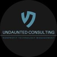 undaunted consulting logo image