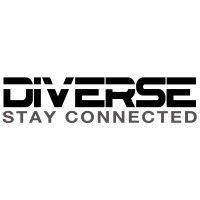 diverse construction, inc logo image