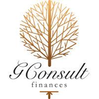 g consult finances logo image