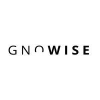 gnowise logo image