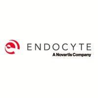 endocyte