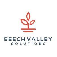 beech valley solutions logo image