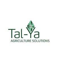 tal-ya logo image